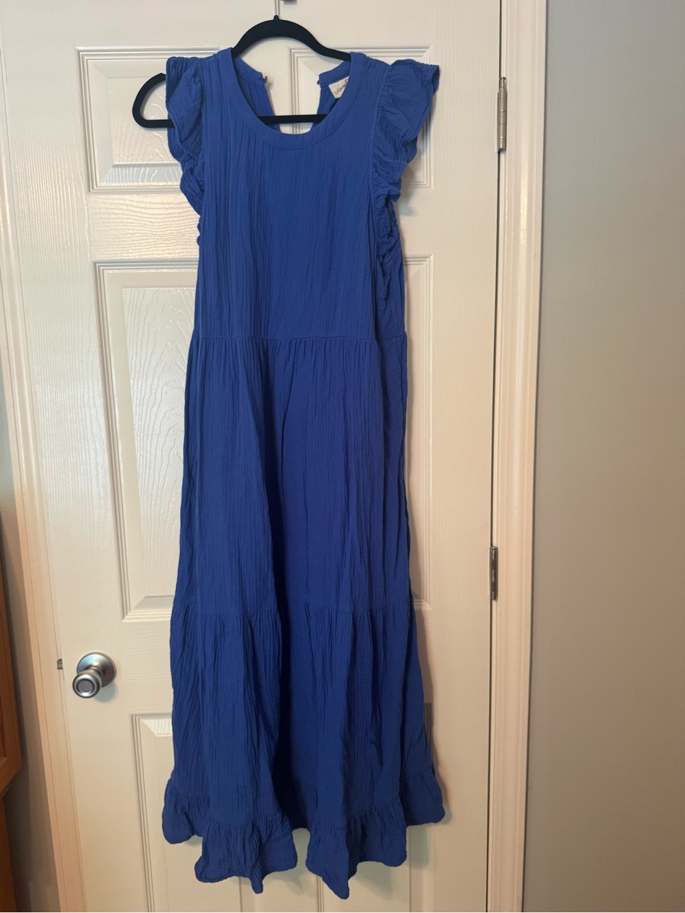 Universal Thread Royal Blue Ruffle Sleeve Maxi Dress